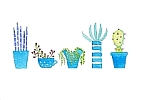 succulents